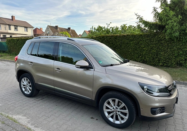 Volkswagen Tiguan cena 44500 przebieg: 251000, rok produkcji 2012 z Dębno małe 211